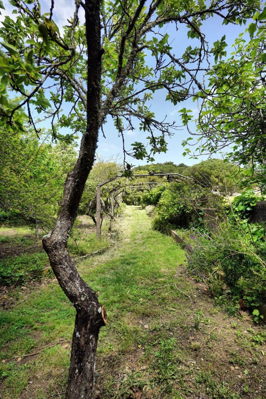 Willa Casa Da Rampa Sintra Zewnętrze zdjęcie