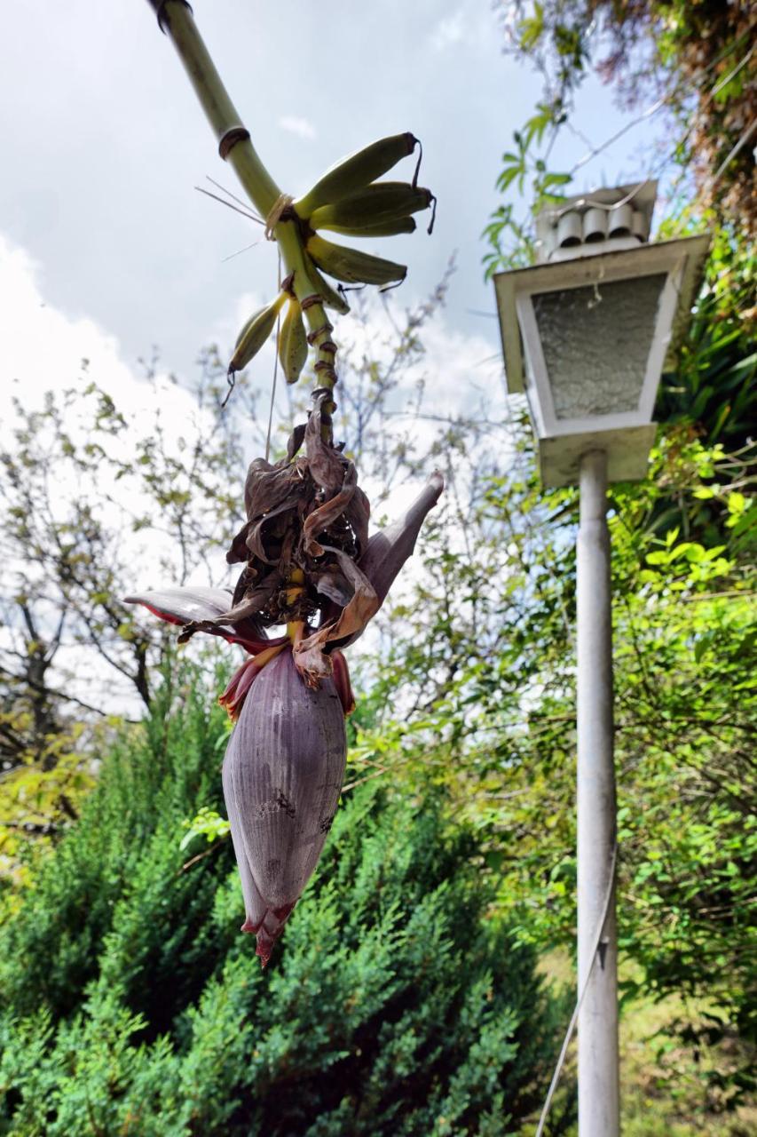 Willa Casa Da Rampa Sintra Zewnętrze zdjęcie